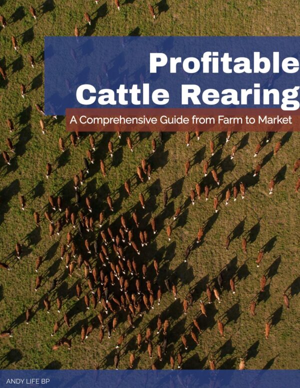 Profitable‎ Cattle‎ Rearing:‎ From Farm to Market
