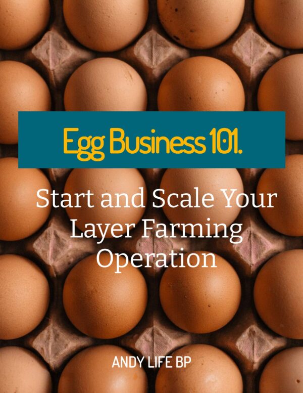 Egg Business 101: Start and Scale Your Layer Farming Operation