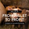 From Piglet to Profit: Strategies for Successful Pig Farming